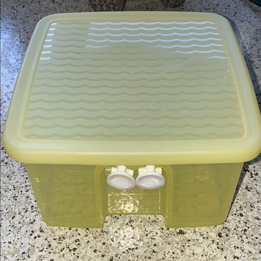 Tupperware FridgeSmart container